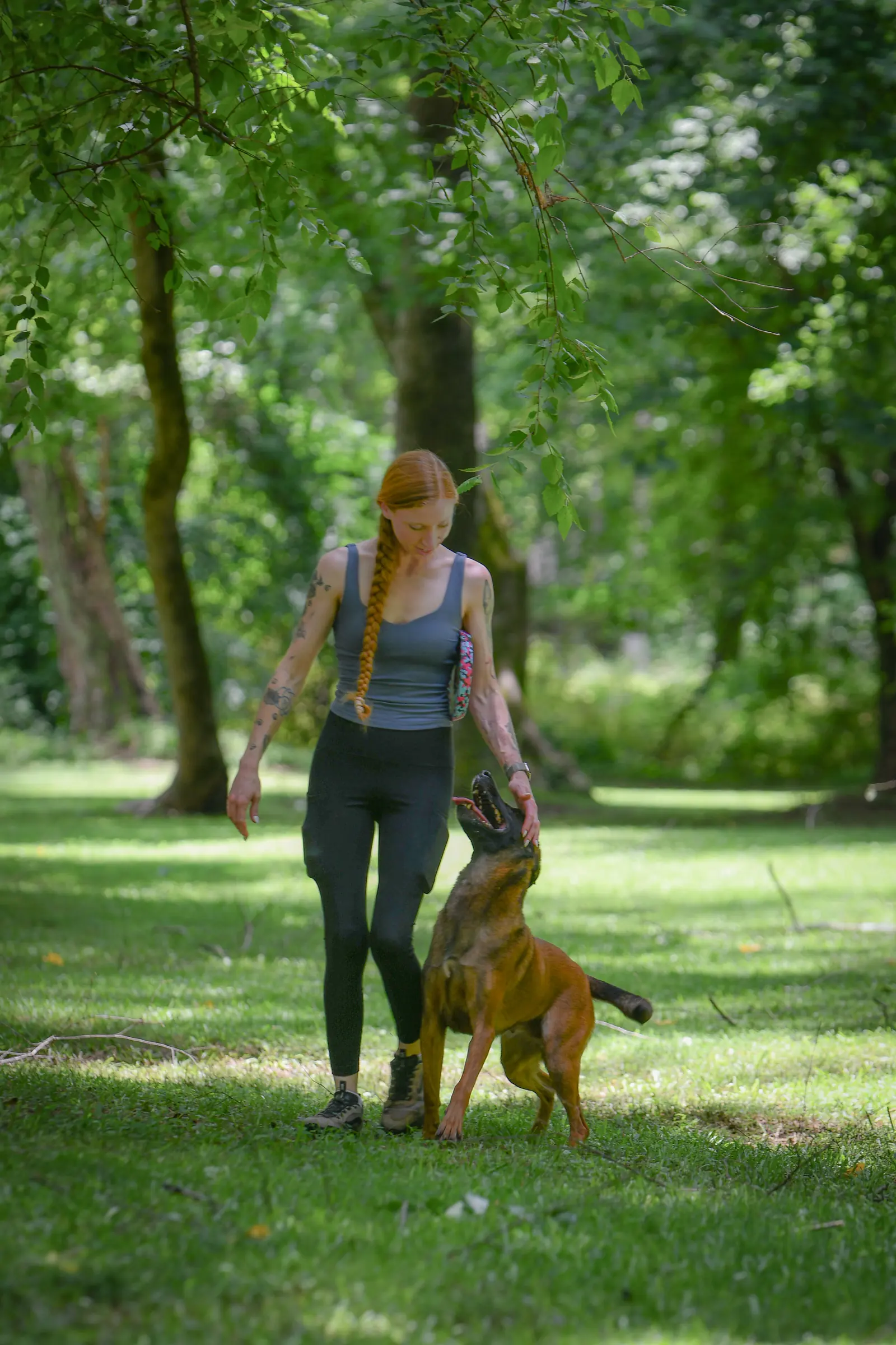 Competitive dog sports training at Georgia Doggy Dojo 6